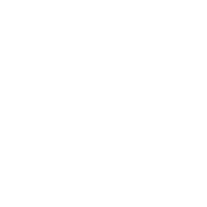 mobts-2027-logo-trans-white